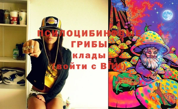 экстази Коряжма