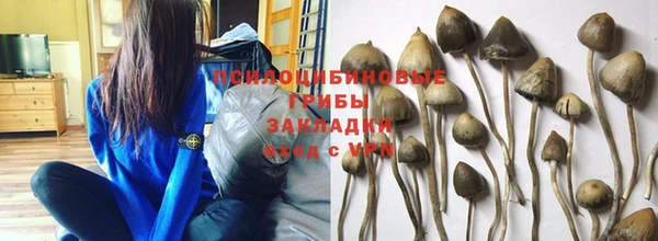 прущая мука Киреевск
