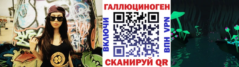 Галлюциногенные грибы Psilocybe  Камышлов 