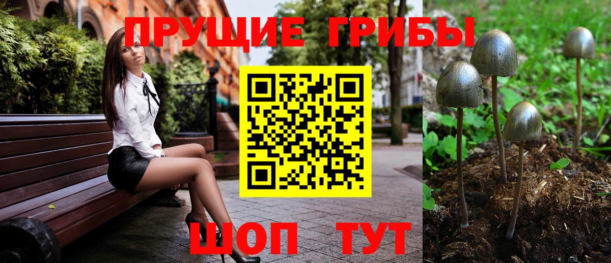 Псилоцибиновые грибы GOLDEN TEACHER Камышлов