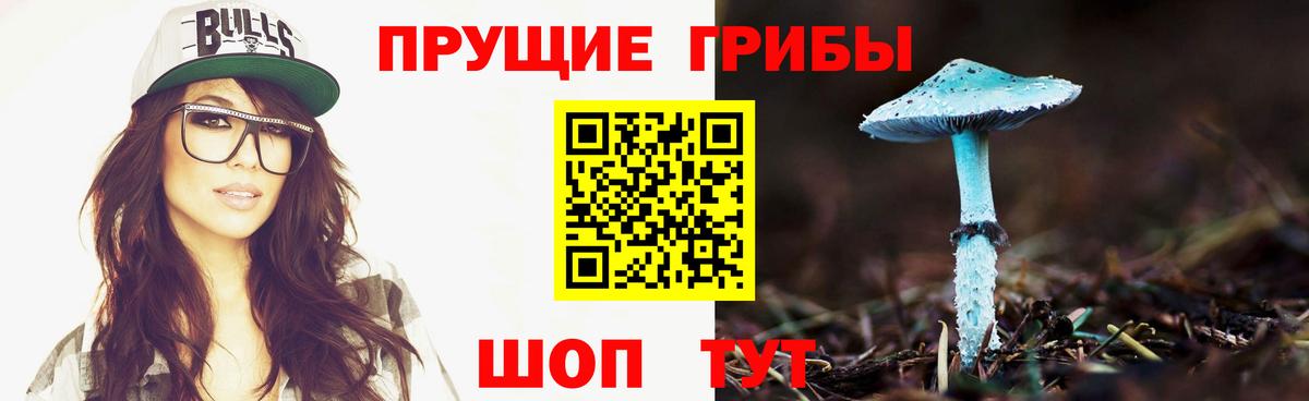 Галлюциногенные грибы GOLDEN TEACHER  Камышлов 